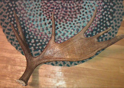 Antler After Treatment