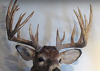 Buck Rack Before and After